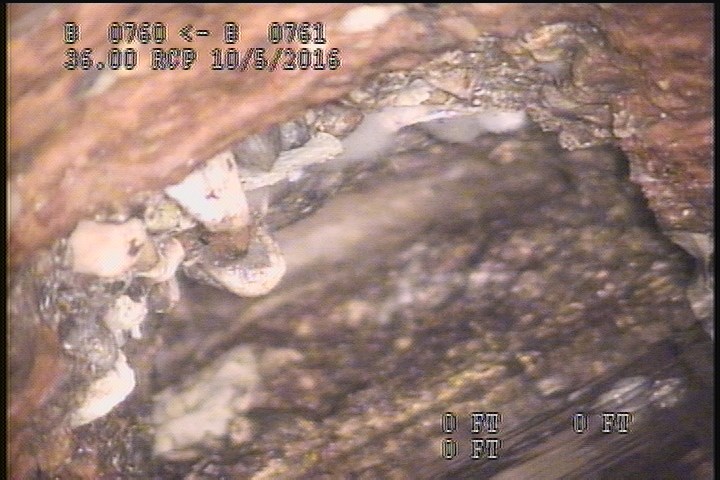Surface Reinforcement Corroded, from 11 to 01 o'clock, within 8 inches of joint: NO - CIRCUM POSSIBLE MISSING
