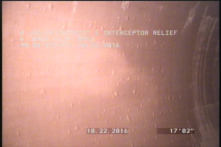 General Photograph - SMALL BLISTERES