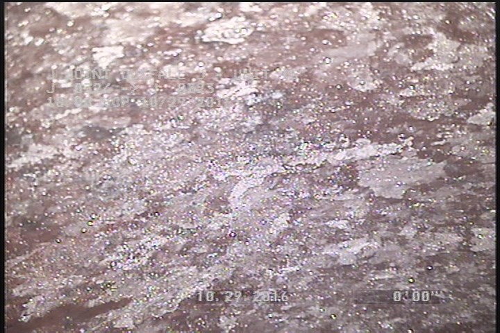 General Photograph - WHITE SUBSTANCE