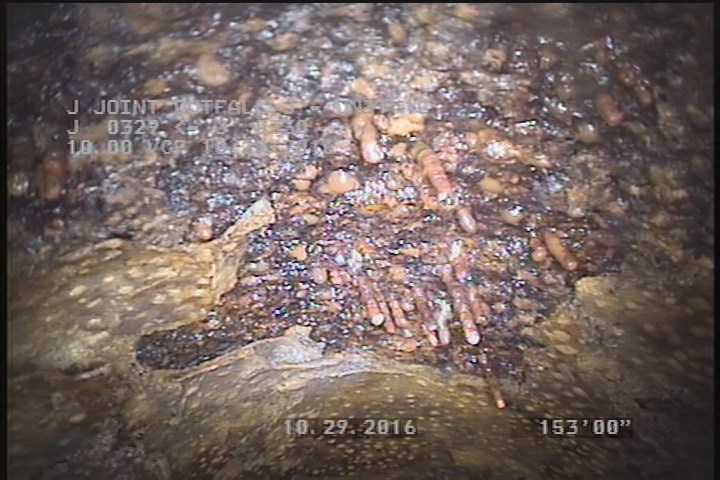 Infiltration Weeper, from 11 to 01 o'clock, within 8 inches of joint: NO