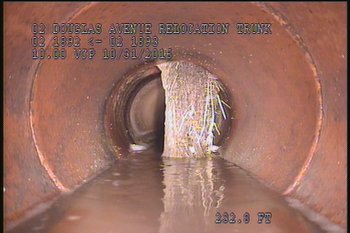 Roots Fine Lateral, from 12 to 06 o'clock - Active