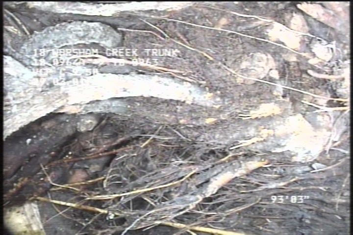 Tap Break-In Defective, at 02 o'clock, -, , within 8 inches of joint: NO, 6" - OPEN 100% ROOTS
