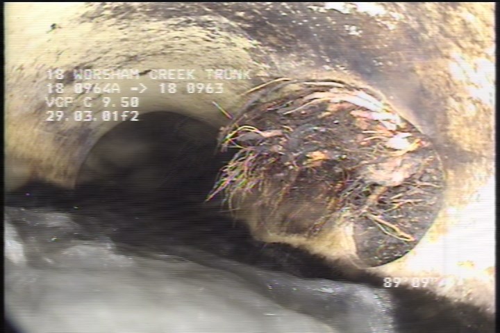 Roots Medium Lateral, from 01 to 04 o'clock, 10 %, within 8 inches of joint: NO
