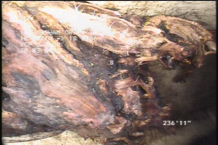 Roots Medium Lateral, from 10 to 12 o'clock, 15 %, within 8 inches of joint: NO