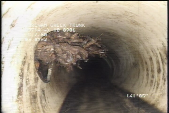 Roots Medium Lateral, from 09 to 12 o'clock, 20 %, within 8 inches of joint: NO