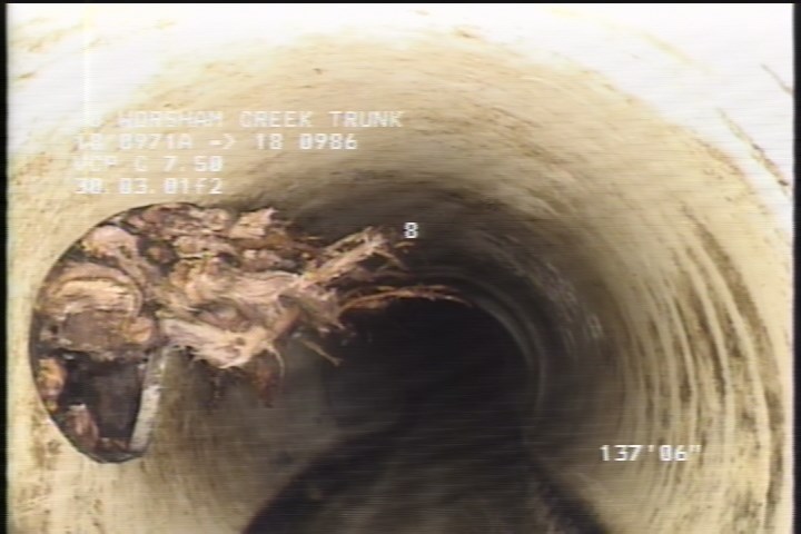 Roots Medium Lateral, from 10 to 11 o'clock, 10 %, within 8 inches of joint: NO