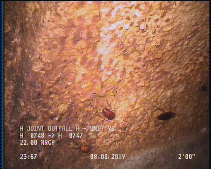 Surface Aggregate Projecting, from 09 to 03 o'clock, within 8 inches of joint: YES, Start