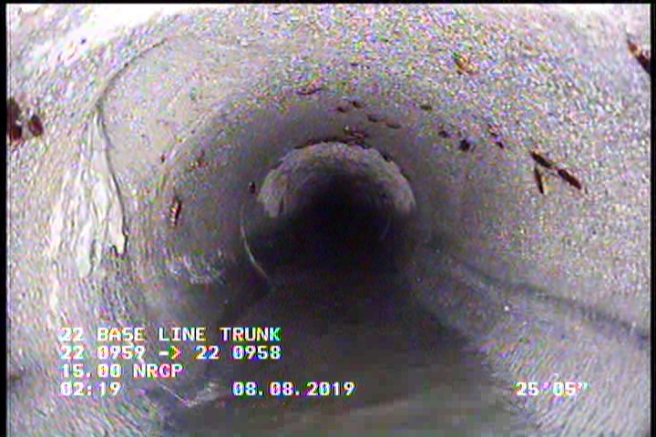 Vermin Cockroach, within 8 inches of joint: YES - COCKROACHES IN ILINE