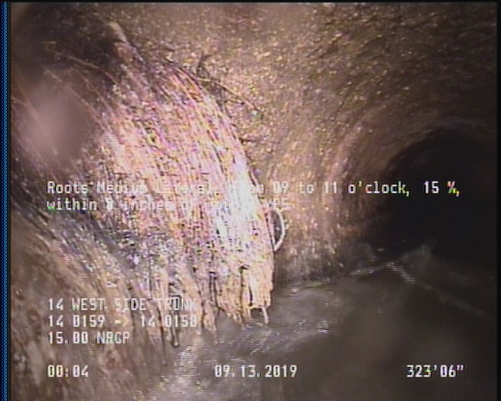 Roots Medium Lateral, from 09 to 11 o'clock, 15 %, within 8 inches of joint: YES