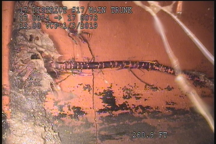 Roots Fine Joint, from 08 to 11 o'clock, within 8 inches of joint: YESR