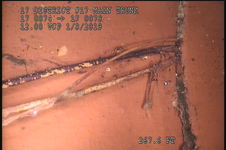 Roots Fine Joint, at 02 o'clock, within 8 inches of joint: YESR