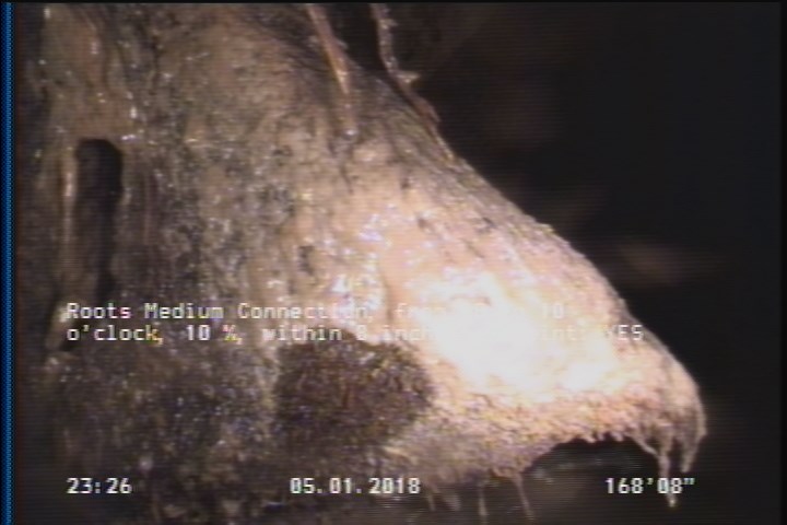 Roots Medium Connection, from 08 to 10 o'clock, 25 %, within 8 inches of joint: YES