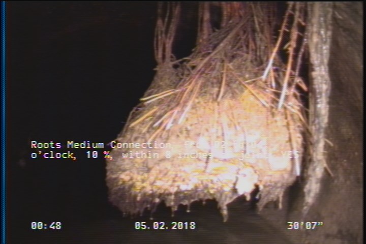 Roots Medium Connection, from 02 to 04 o'clock, 10 %, within 8 inches of joint: YES