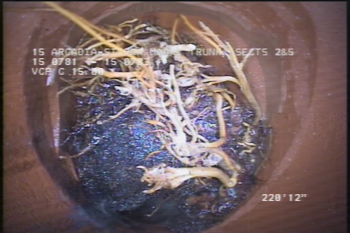 Tap Factory Made Defective, at 10 o'clock, -, within 8 inches of joint: YES, 6" - OPEN-95% ROOTS