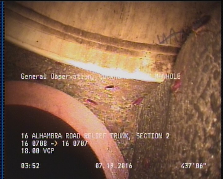 General Observation - COCKROACHES IN MANHOLE