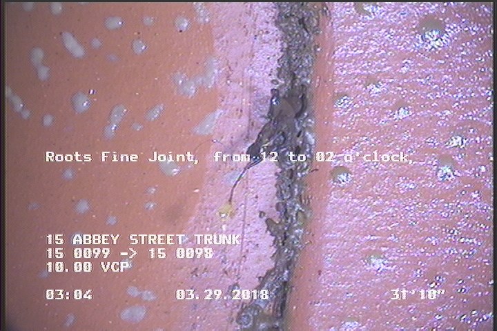 Roots Fine Joint, from 12 to 02 o'clock, within 8 inches of joint: YES