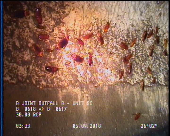Surface Aggregate Projecting, from 09 to 03 o'clock, within 8 inches of joint: YES, Start