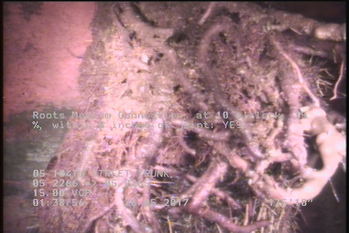 Roots Medium Connection, at 10 o'clock, 15 %, within 8 inches of joint: YES