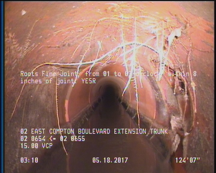Roots Fine Joint, from 01 to 03 o'clock, within 8 inches of joint: YESR