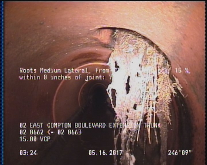 Roots Medium Lateral, from 12 to 04 o'clock, 15 %, within 8 inches of joint: YES
