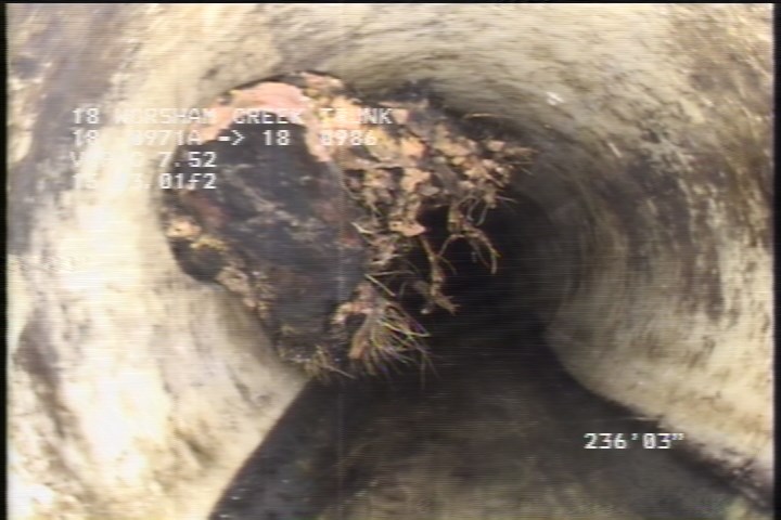 Roots Medium Connection, from 09 to 12 o'clock, 35 %, within 8 inches of joint: NO