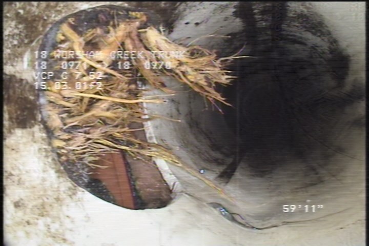 Roots Fine Connection, at 11 o'clock, within 8 inches of joint: NO