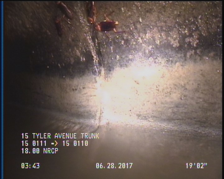 Deposits Attached Grease, 5 %of cross sectional area, from 04 to 08 o'clock, , within 8 inches of joint: YES, Start