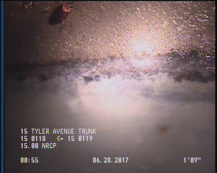 Deposits Attached Grease, 5 %of cross sectional area, from 04 to 08 o'clock, , within 8 inches of joint: YES, Start