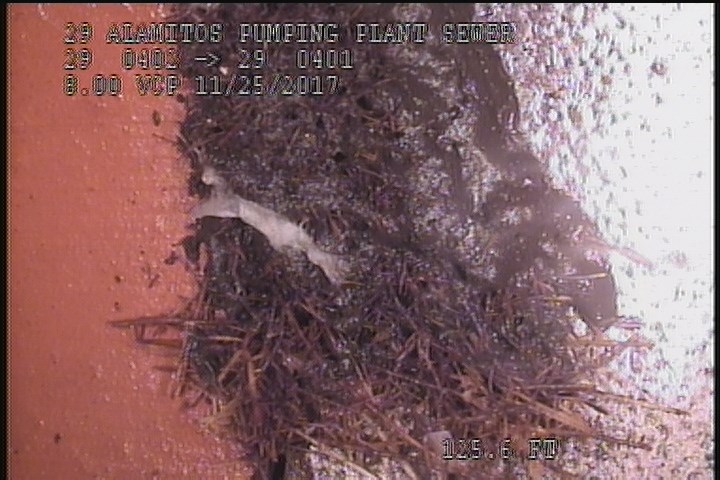 Roots Fine Joint, at 09 o'clock, within 8 inches of joint: YESR