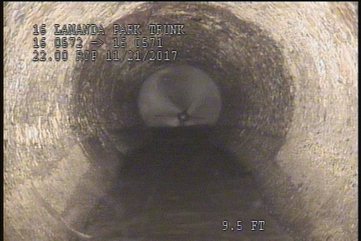 General Photograph - ROOTS CUT (AFTER)