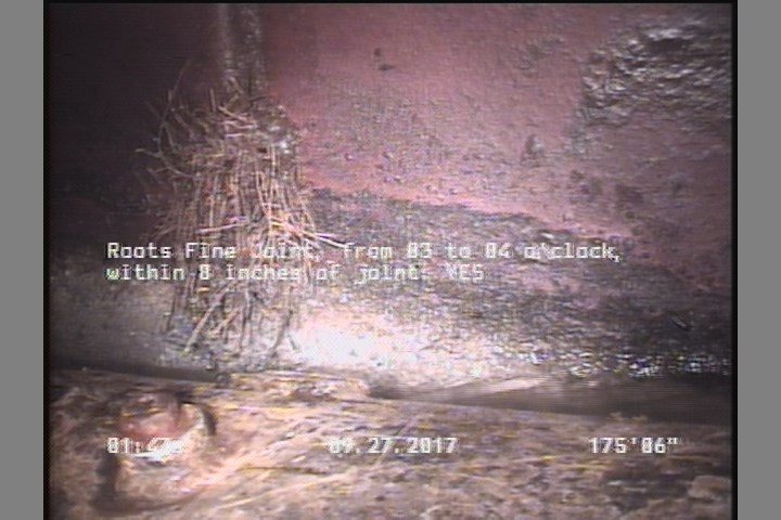 Roots Fine Joint, from 03 to 04 o'clock, within 8 inches of joint: YES