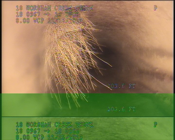 Roots Medium Connection, from 08 to 11 o'clock, 20 %, within 8 inches of joint: NO