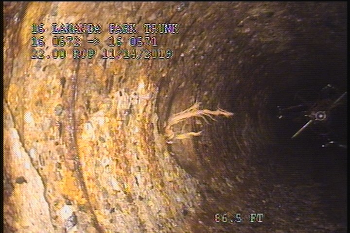 Roots Tap Lateral, at 11 o'clock, 5 %, within 8 inches of joint: NO