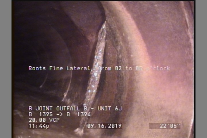 Roots Fine Lateral, from 02 to 05 o'clock