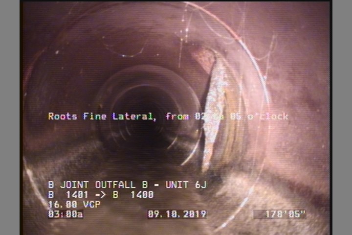 Roots Fine Lateral, from 02 to 05 o'clock
