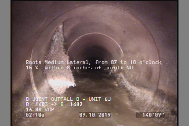 Roots Medium Lateral, from 07 to 10 o'clock, 15 %, within 8 inches of joint: NO