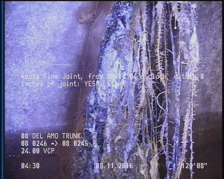 Roots Fine Joint, from 08 to 04 o'clock, within 8 inches of joint: YESR, Start