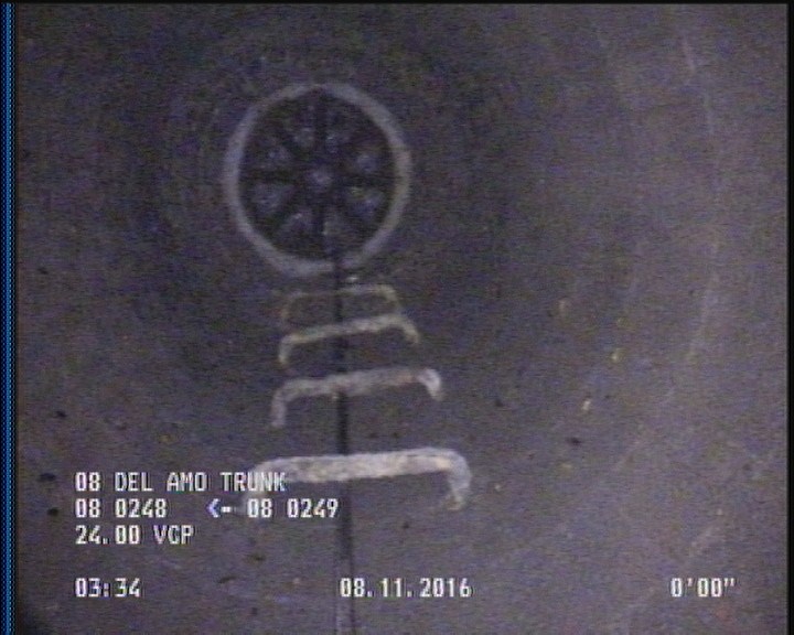 General Observation - COCKROACHES IN MANHOLE