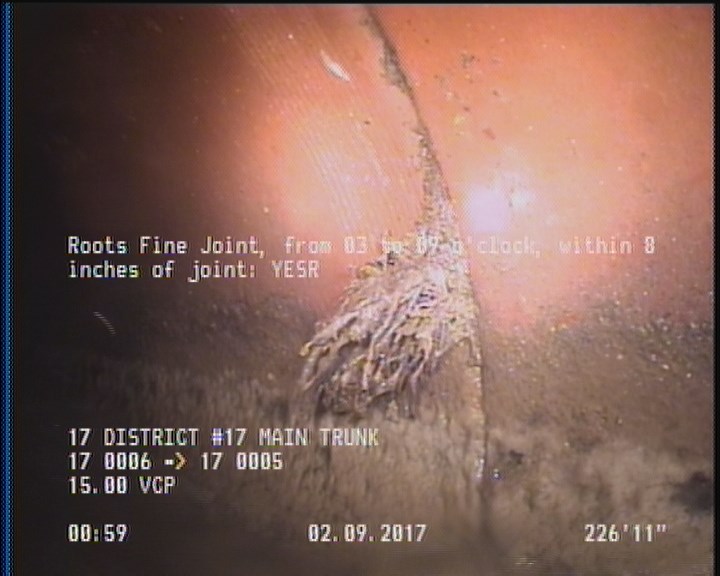 Roots Fine Joint, from 03 to 09 o'clock, within 8 inches of joint: YESR