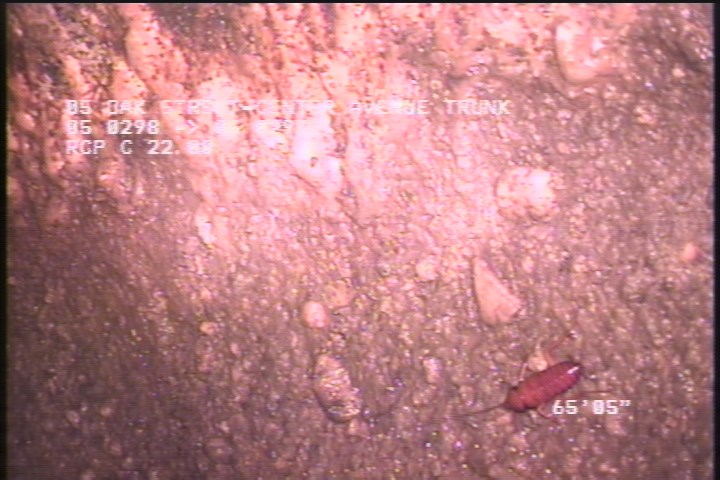 Surface Aggregate Projecting, from 08 to 04 o'clock, within 8 inches of joint: NO - SEVERE AGG SWPORATIC