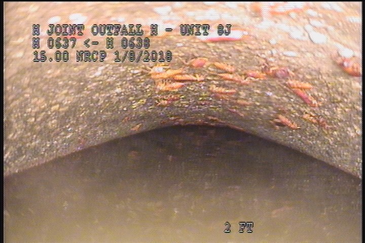 Downstream Manhole, Survey Begins - 11:49 AM