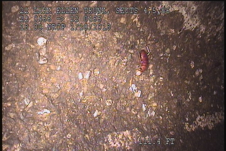 Surface Aggregate Missing, from 09 to 03 o'clock, within 8 inches of joint: NO - SEVERE AGG