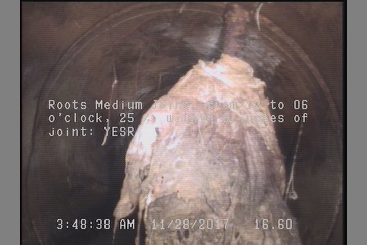 Roots Medium Joint, from 12 to 06 o'clock, 25 %, within 8 inches of joint: YESR