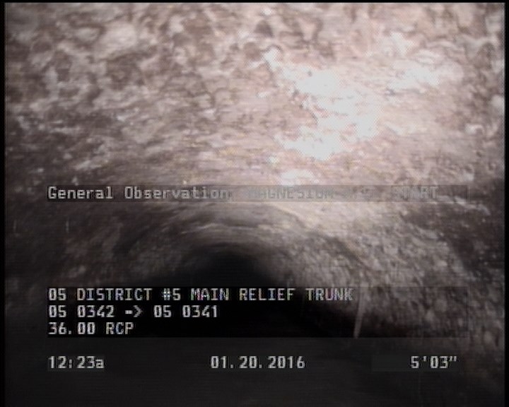 General Observation - MAGNESIUM H.O. START