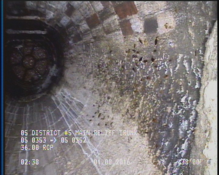 General Observation - COCKROACHES IN MANHOLE