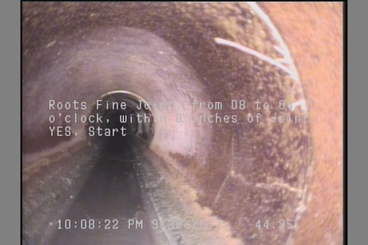 Roots Fine Joint, from 08 to 04 o'clock, within 8 inches of joint: YES, Start