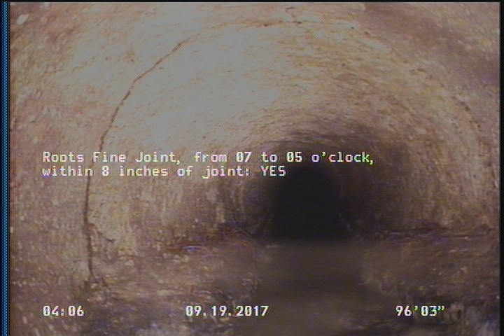 Roots Fine Joint, from 07 to 05 o'clock, within 8 inches of joint: YES
