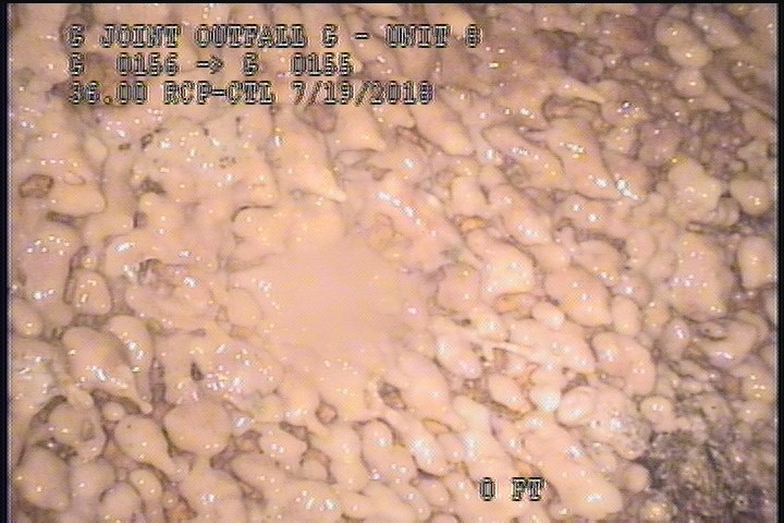 Deposits Attached Grease, 2 %of cross sectional area, from 08 to 04 o'clock, , within 8 inches of joint: YES, Start