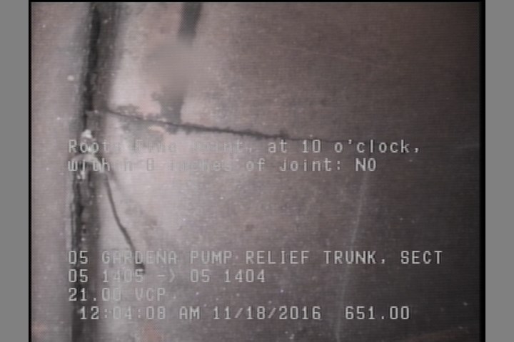 Roots Fine Joint, at 10 o'clock, within 8 inches of joint: NO