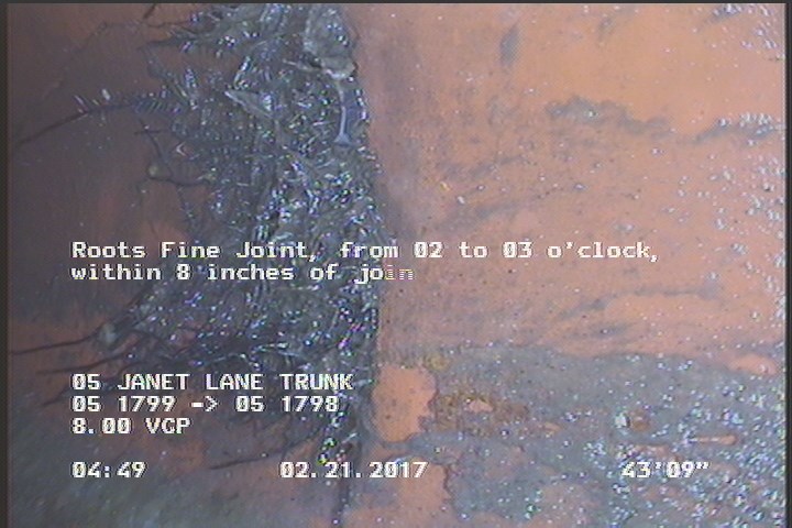 Roots Fine Joint, from 02 to 03 o'clock, within 8 inches of joint: YESR